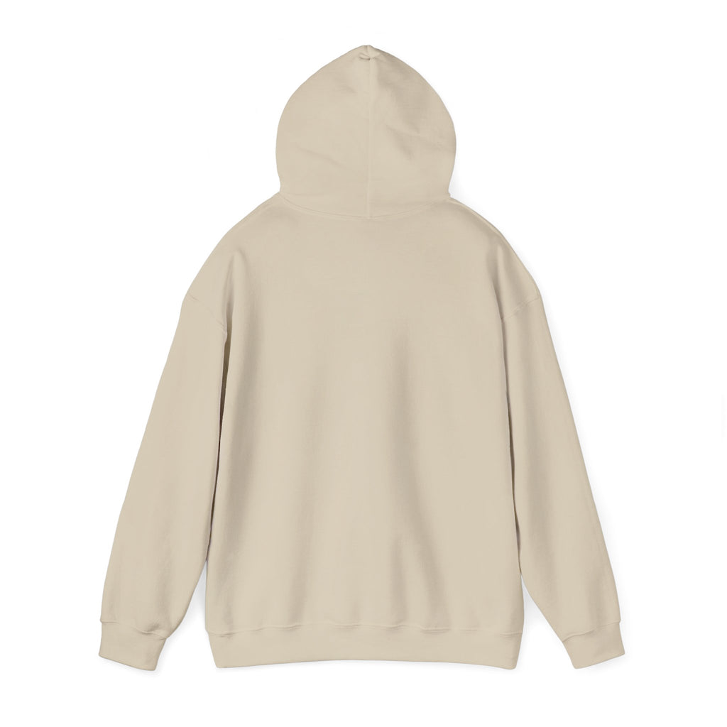 Choose Joy Hoodie — Positive Script Graphic Pullover
