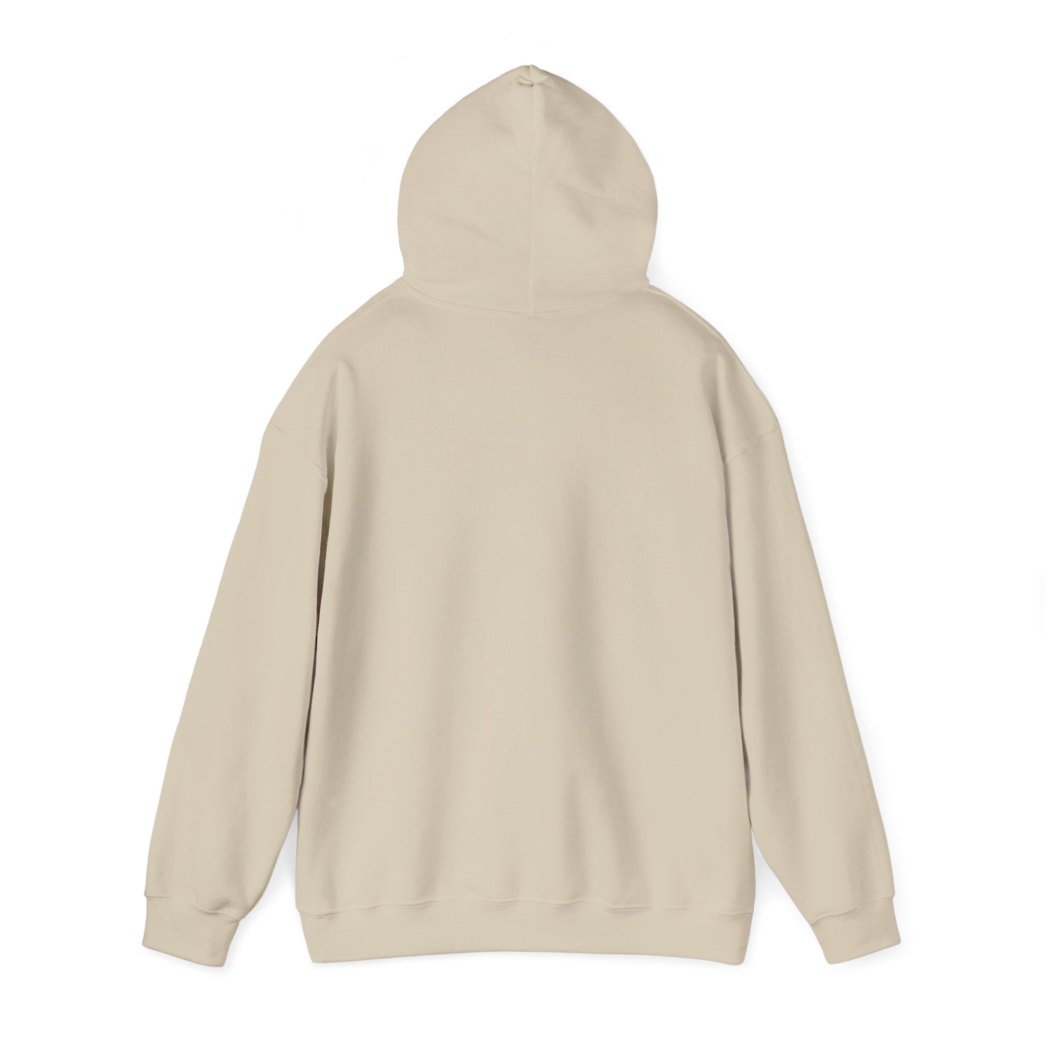 Choose Joy Hoodie — Positive Script Graphic Pullover