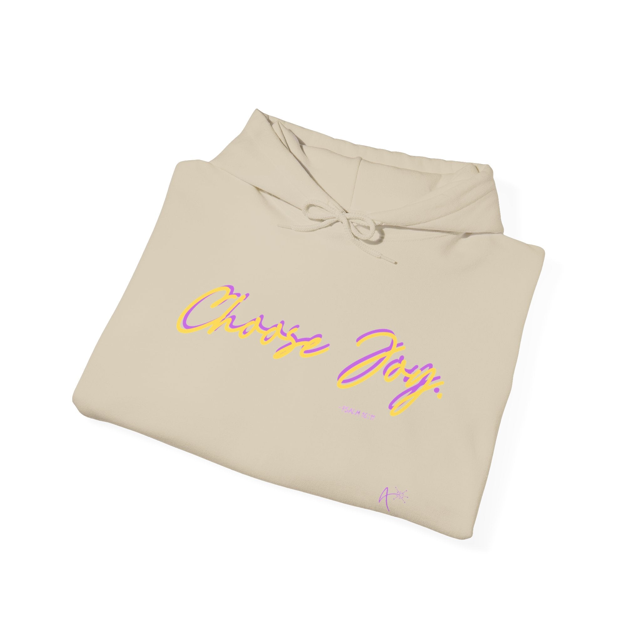 Choose Joy Hoodie — Positive Script Graphic Pullover