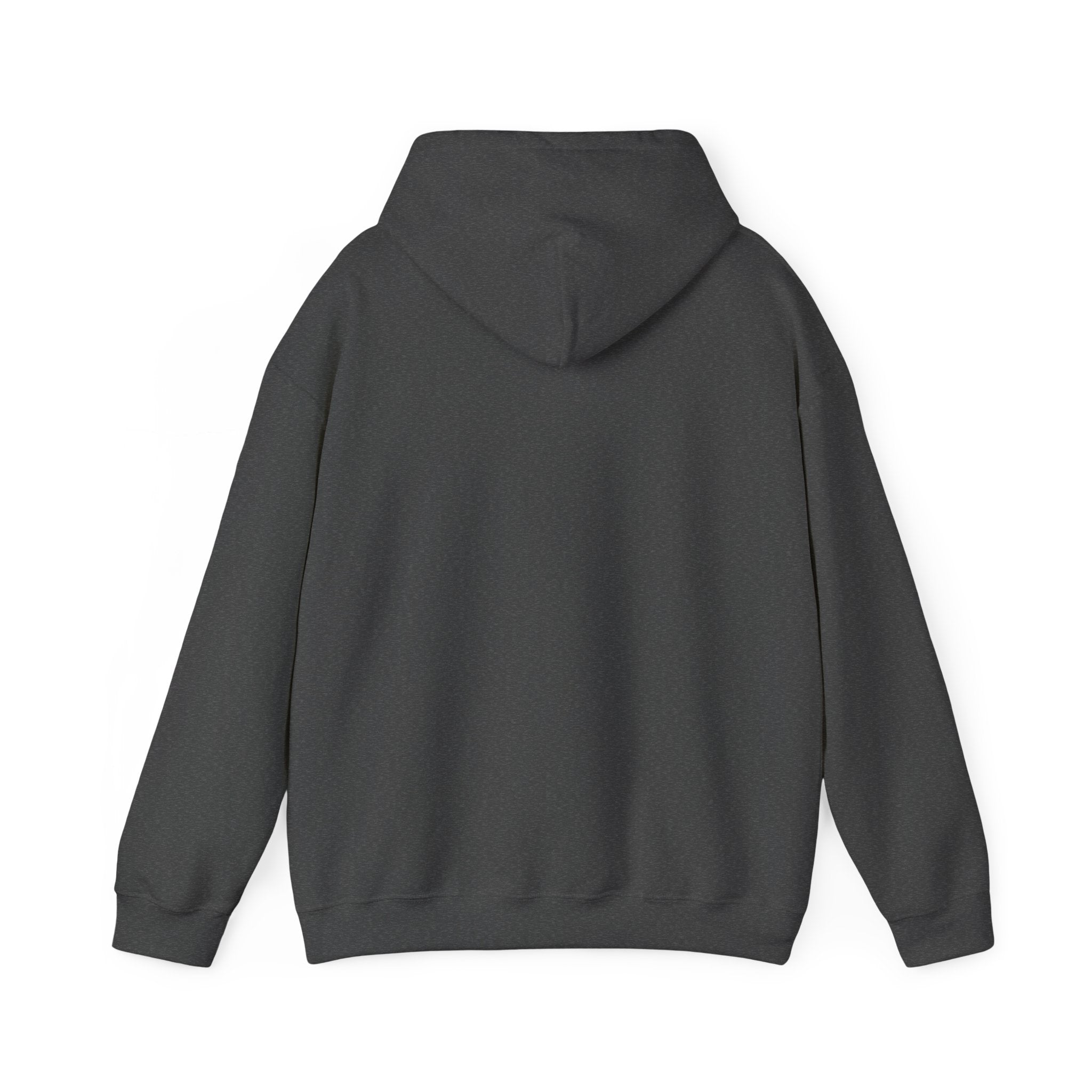 Choose Joy Hoodie — Inspirational Christian Scripture Pullover (Philippians 4:8)
