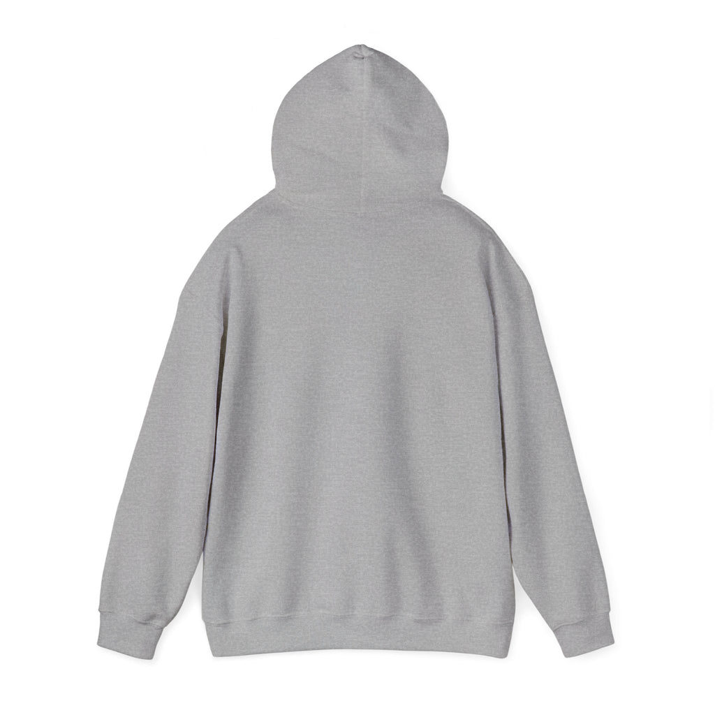 Choose Joy Hoodie — Positive Script Graphic Pullover