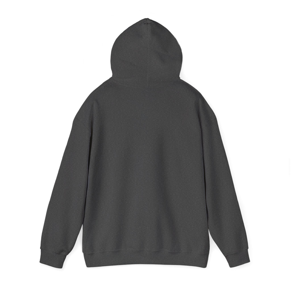 Choose Joy Hoodie — Inspirational Christian Scripture Pullover (Philippians 4:8)
